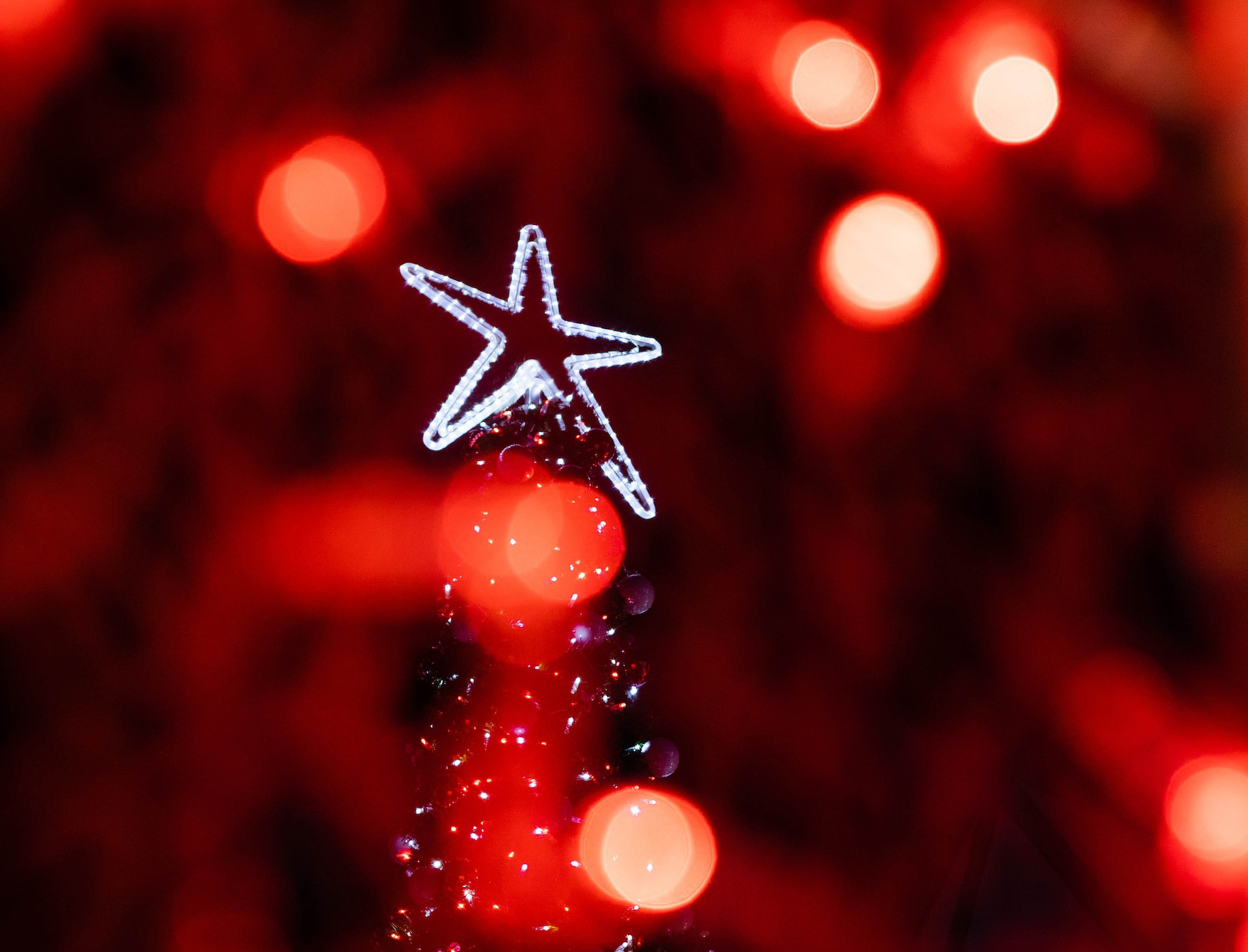 Buone feste