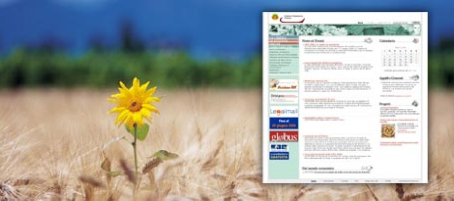 Sito Web Camera di Commercio Industria e Artigianato di Oristano