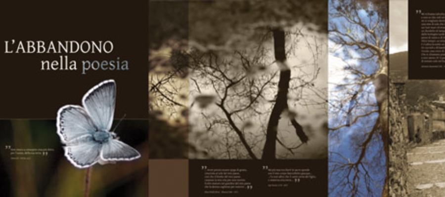 Gairo - Allestimento del centro di documentazione per la valorizzazione delle risorse archeologiche di Gairo e Gairo Taquisara