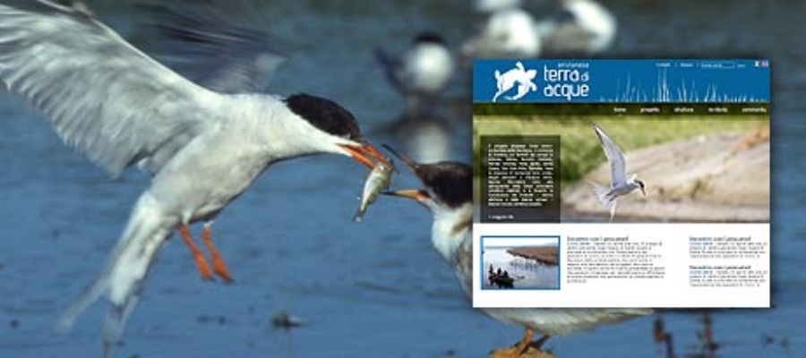 Oristanese Terra di acque - Sito web