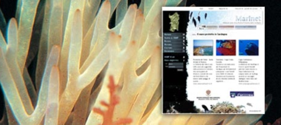 Sito Web Marinet - Network delle Aree Marine Protette della Sardegna