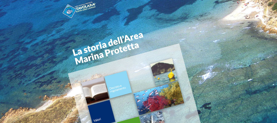 Applicazione multimediale