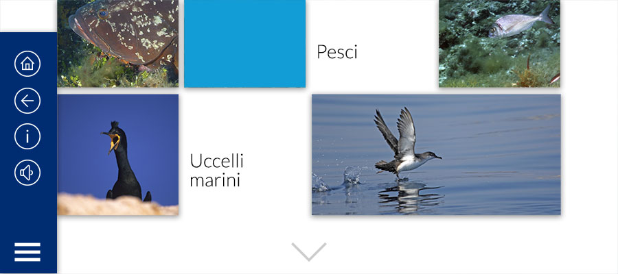 Menu di navigazione