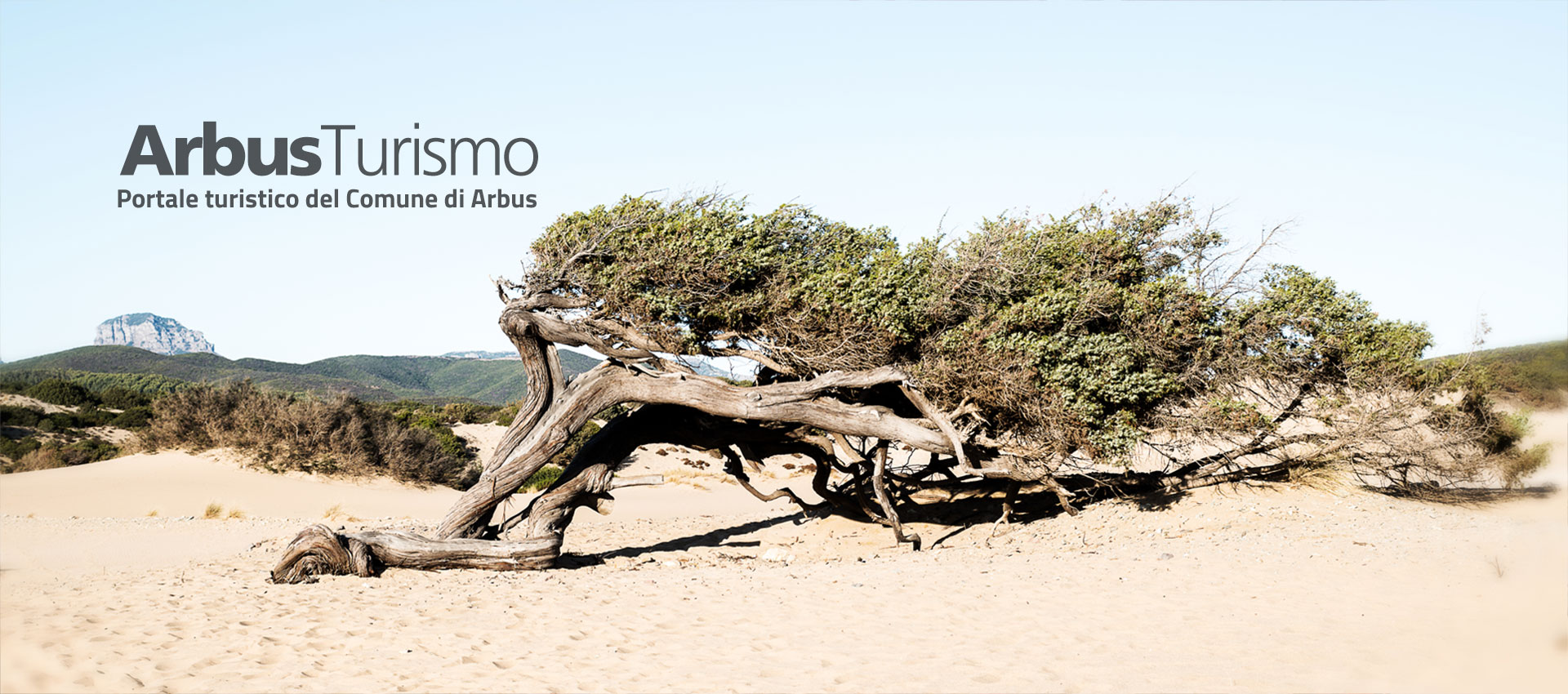 ArbusTurismo - Piscinas