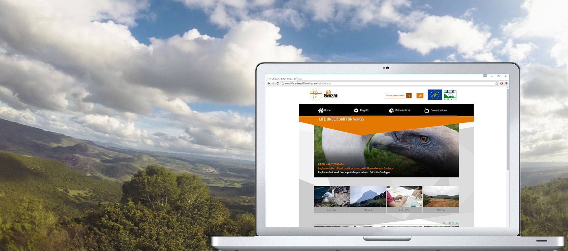 Homepage