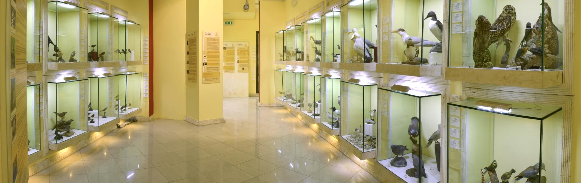 Museo Parco Siddi