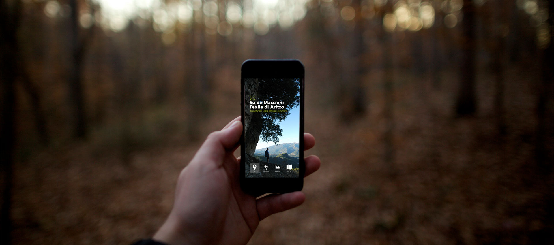 APP iOS